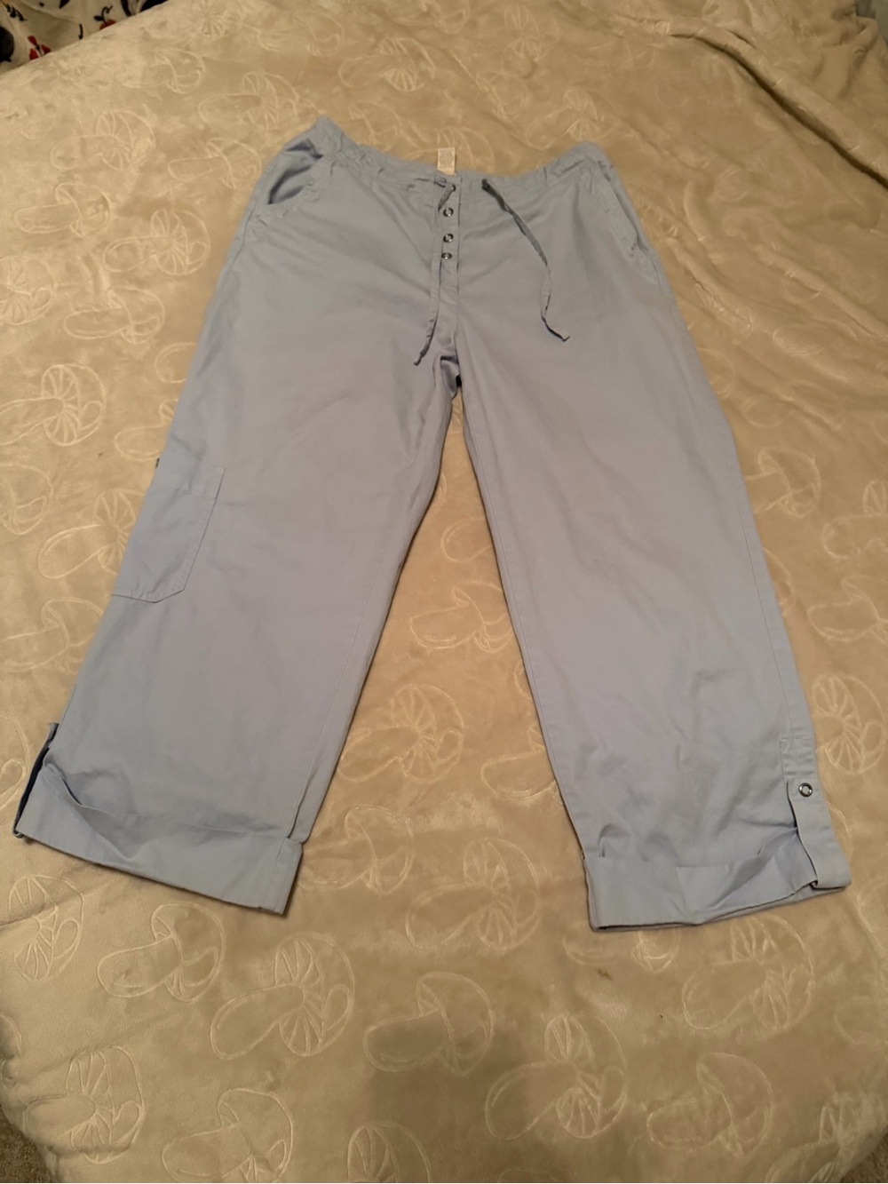 J. Jill women’s 8 Light Blue Cuffed Ankle Cropped Drawstring Button-Front Pants